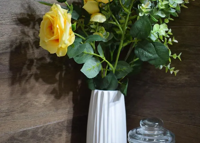 S K K Apartament Argostoli (Kefalonia)